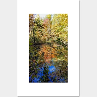 Fall Trees Posters and Art